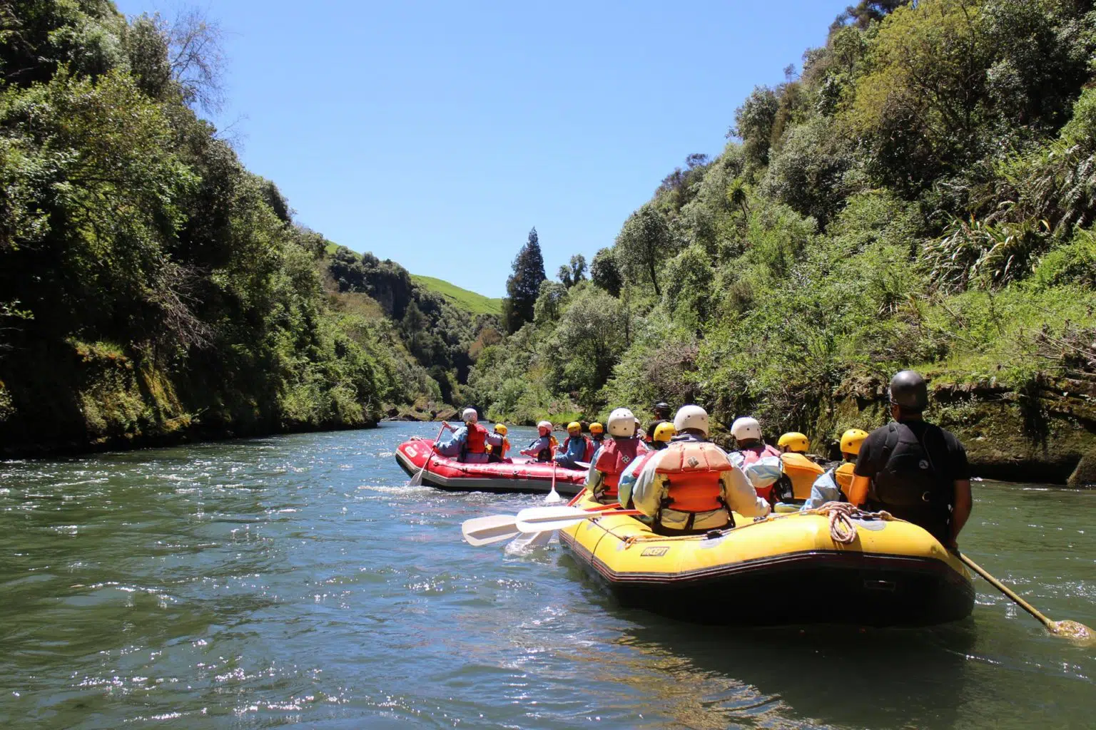 mohala rafting 1920px post hero mohaka grade 2 1536x1024